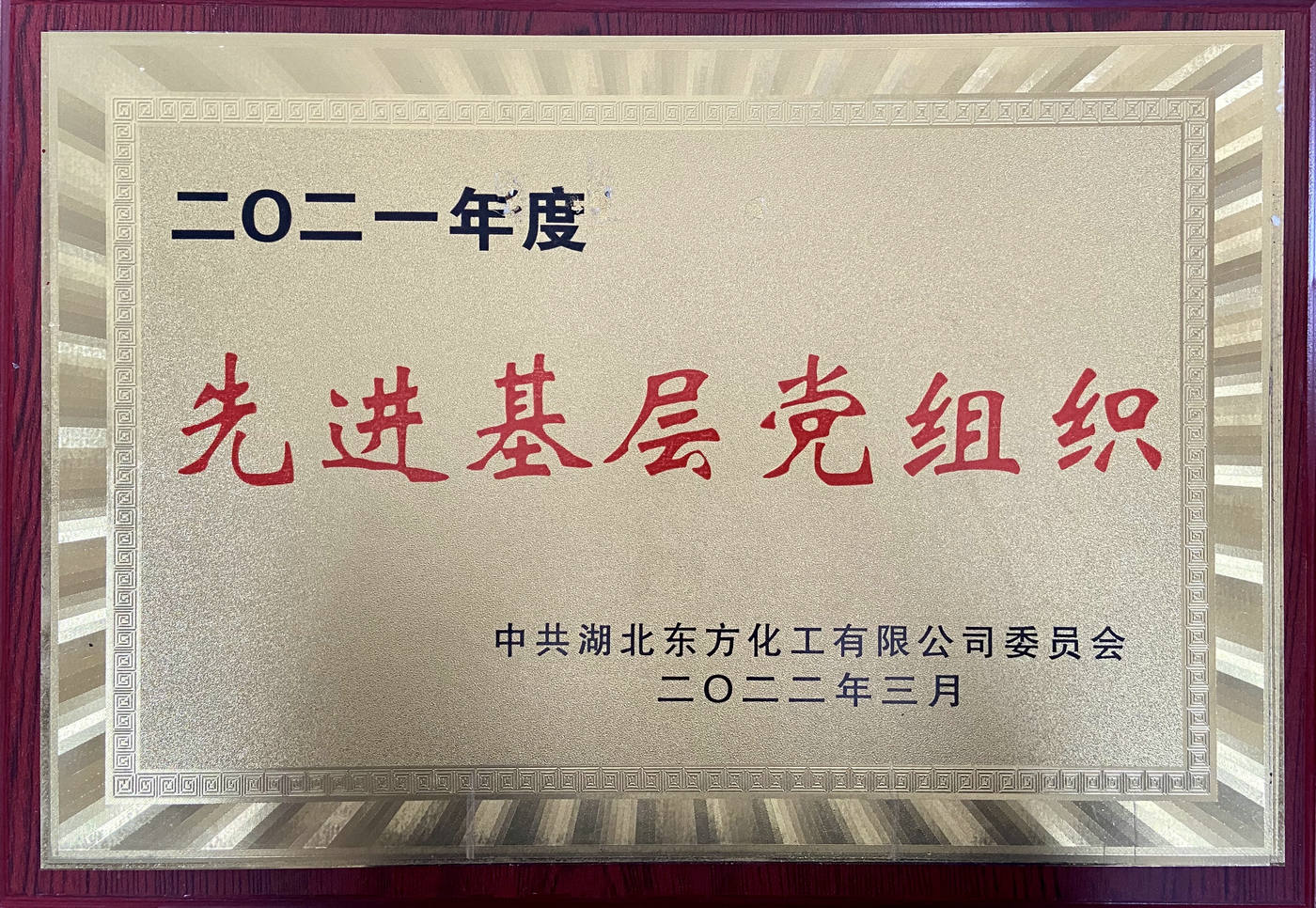 Advanced Primary Party organizations