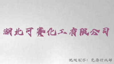 湖北可賽化工有限公司群團(tuán)活動(dòng)